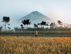 Identitas Manusia Indonesia dalam Keberagaman Nilai-Nilai Luhur